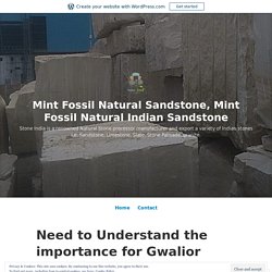 Need to Understand the importance for Gwalior mint wall panel stone – Mint Fossil Natural Sandstone, Mint Fossil Natural Indian Sandstone