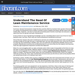 Understand The Need Of Lawn Maintenance Service