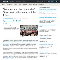 To understand the potential of Tesla, look to the forest, not the trees