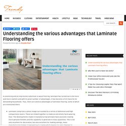 Understanding the various advantages that Laminate Flooring offers