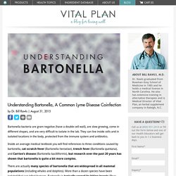 Understanding Bartonella