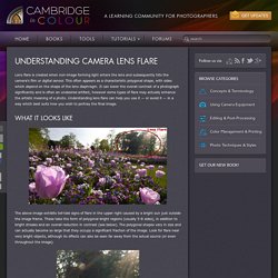 Understanding Camera Lens Flare
