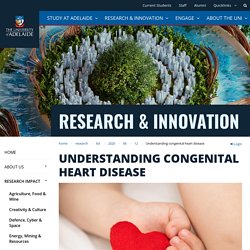 Understanding congenital heart disease