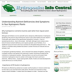 Understanding Nutrient Deficiencies And Symptoms In Your Hydroponic Plants