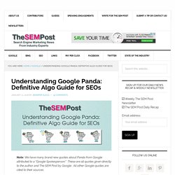 Understanding Google Panda: Definitive Algo Guide for SEOs