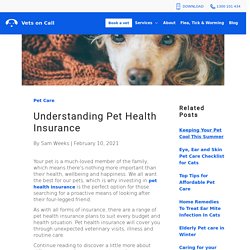 Understanding Pet Health Insurance