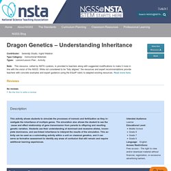 Dragon Genetics – Understanding Inheritance