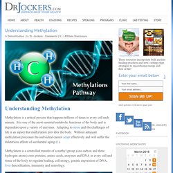 Understanding Methylation - DrJockers.com