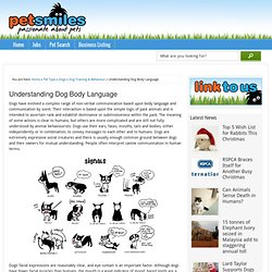 Understanding Dog Body Language - Petsmiles