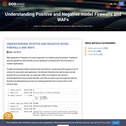 Understanding Positive and Negative model Firewalls and WAFs