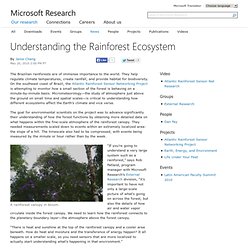 Understanding the Rainforest Ecosystem