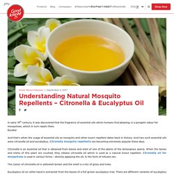 Mosquito repellant with citronella and eucalyptus oil- Good Knight
