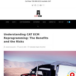 Understanding CAT ECM Reprogramming: The Benefits and the Risks