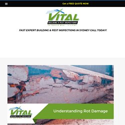 Understanding Rot Damage