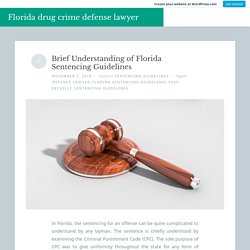 Brief Understanding of Florida Sentencing Guidelines