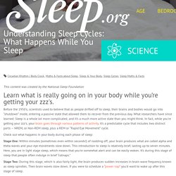 Understanding Sleep Cycles