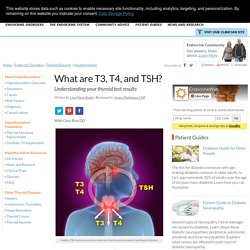 What are T3, T4, and TSH? - Understanding your thyroid test results