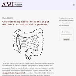 Understanding spatial relations of gut bacteria in ulcerative colitis patients — The American Microbiome Institute