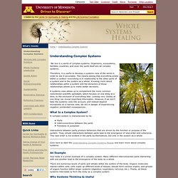 Understanding Complex Systems - AHC - Whole Systems Healing, University of Minnesota