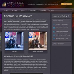 Understanding White Balance