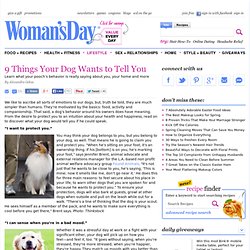 Dog Language - Understanding Dog Behavior at WomansDay