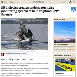 SU biologist creates underwater noise monitoring system to help dolphins: CNY Science