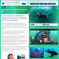 Underwater photography Training Course