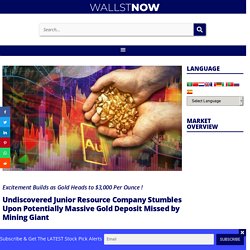 Undiscovered JuniorResource Company Stumbles Upon Potentially Massive Gold Deposit Missed by Mining Giant - WALLSTNOW