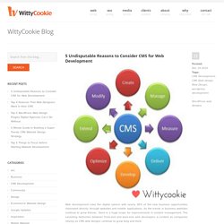 5 Undisputable Reasons to Consider CMS for Web Development - WittyCookie