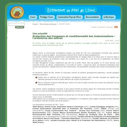 14 avril 2021 Protection des troupeaux et conditionnalité des indemnisations : l'arlésienne des estives