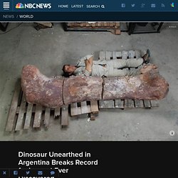 Dinosaur Unearthed in Argentina Breaks Record for Largest Ever Discovered