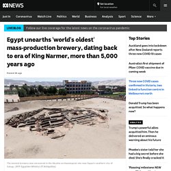 Egypt unearths 'world's oldest' mass-production brewery, dating back to era of King Narmer, more than 5,000 years ago