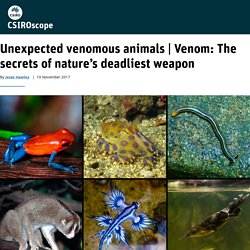Venom: The secrets of nature’s deadliest weapon - CSIROscope