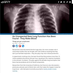 An unexpected new lung function has been found - they make blood