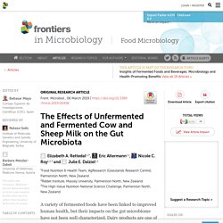 The Effects of Unfermented and Fermented Cow and Sheep Milk on the Gut Microbiota