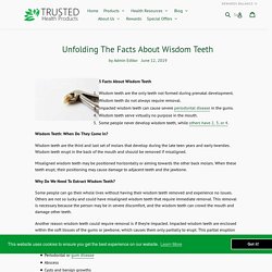 Unfolding The Facts About Wisdom Teeth
