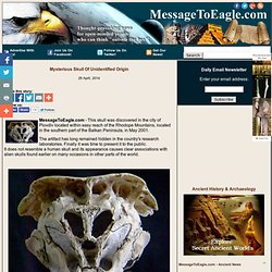 Mysterious Skull Of Unidentified Origin