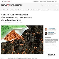 Contre l’uniformisation des semences, produisons de la biodiversité