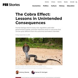 The Cobra Effect: Lessons in Unintended Consequences
