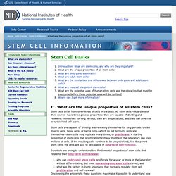 What are the unique properties of all stem cells?