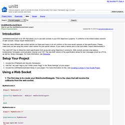 UnittWebSocketClient - Web Sockets Client