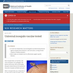 Universal mosquito vaccine tested