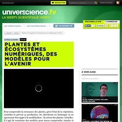 Plantes et écosystèmes numériques, des modèles pour l'avenir