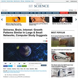 Universe, Brain, Internet: Growth Patterns Similar In Large & Small Networks, Computer Study Suggests - The Huffington Post