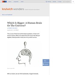 Which Is Bigger: A Human Brain Or The Universe? : Krulwich Wonders...