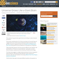 Universe Grows Like A Brain