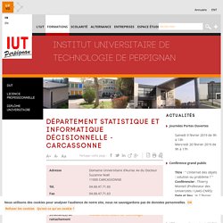 institut universitaire de technologie de Perpignan - Département Statistique et Informatique Décisionnelle - Carcassonne