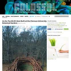 An 80-Ton Bird’s Nest Built at the Clemson University Botanical Gardens
