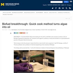 Biofuel breakthrough: Quick cook method turns algae into oil