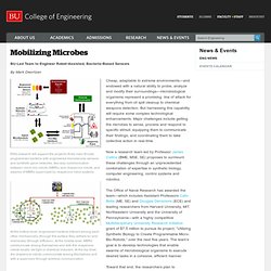 Boston University » College of Engineering » In the News » Mobilizing Microbes